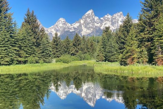 Private Full-Day Grand Teton National Park Tour with Picnic Lunch