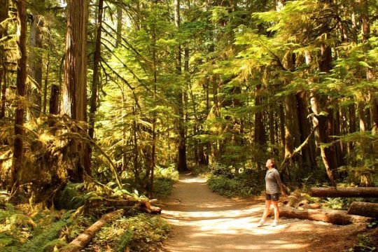 Best of Olympic National Park from Seattle: All-Inclusive Small-Group Day Tour