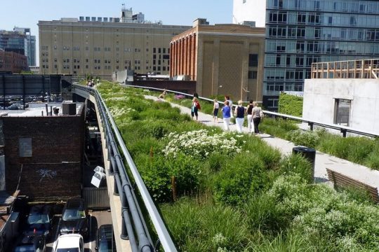 High Line and Hudson Yards Private Walking Tour