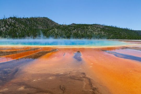 Full Day Guided Yellowstone Nat'l Park Tour From West Yellowstone