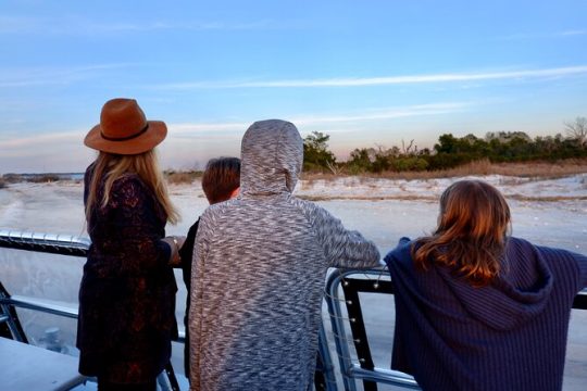 Nature Boat Tour with Certified Naturalist in Charleston