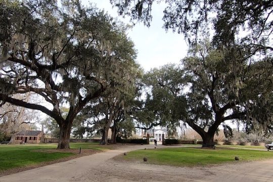 Day Trips to Charleston Tour #7: See INSIDE Ft Sumter,Carriage Tour,Lunch & more