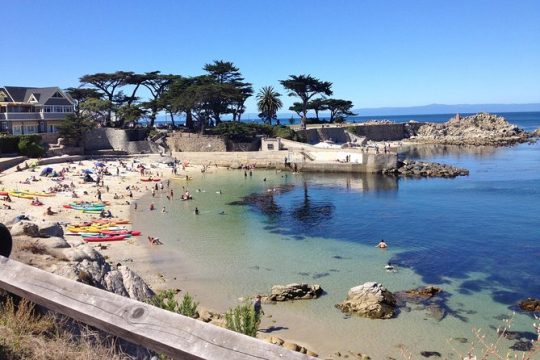 10 Hour Monterey & Carmel Private Tour in a Luxury Vehicle