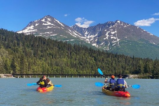 Guided Kayak Tour on Trail Lake