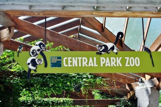 See 30 Top New York Sights (Walking Tour) & Visit Central Park Zoo.