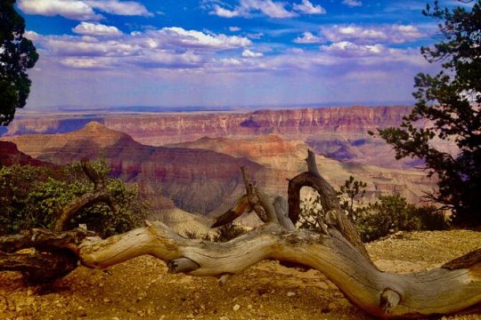Private Tour: Grand Canyon North Rim Day Tour from Las Vegas