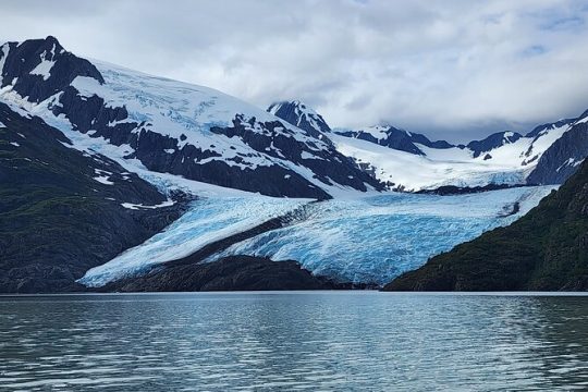 Valley of Glaciers Experience with Portage Glacier Cruise and Wildlife Tour