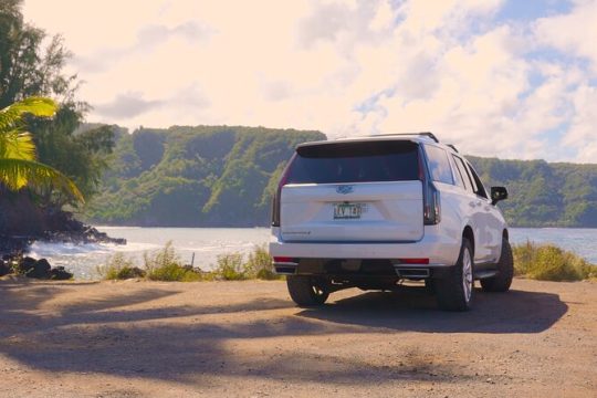 VIP Private Road to Hana Tour with Pick Up