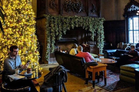 The Christmas Tree Crawl Experience Chicago at the Holidays