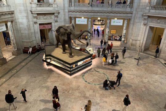 Smithsonian National Museum of Natural History 2H-Guided Tour