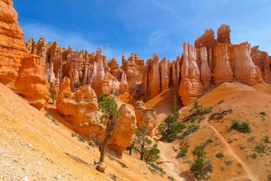 BEST Zion and Bryce Canyon National Park Day Tour from Las Vegas