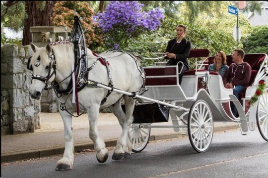 Central Park and NYC Horse Carriage Ride OFFICIAL ( ELITE Private) Since 1970™