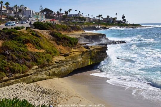 Visit San Diego's Beaches on a Private, Driving Tour