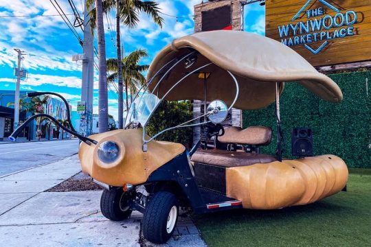 1 Hour Lady Buggy Art Tour Experience in Wynwood