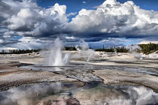 Yellowstone Lower Loop VIP Full-Day Private Tour with Lunch