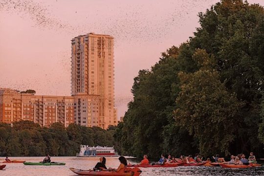 Guided Sunset Bat Kayak Tour in Austin