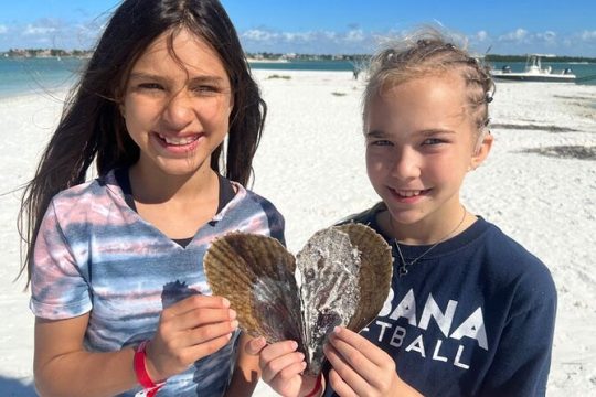 Barrier Island Shelling Tour