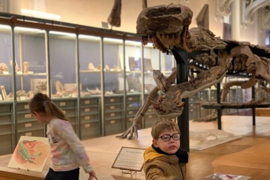Washington DC Museum of Natural History Private Family tour