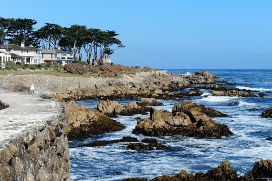 Private Monterey, Carmel and 17-Mile Drive Day Trip from San Francisco