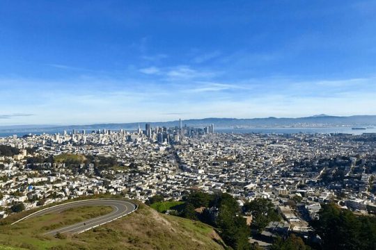 Private San Francisco City Tour and Muir Woods with Sausalito