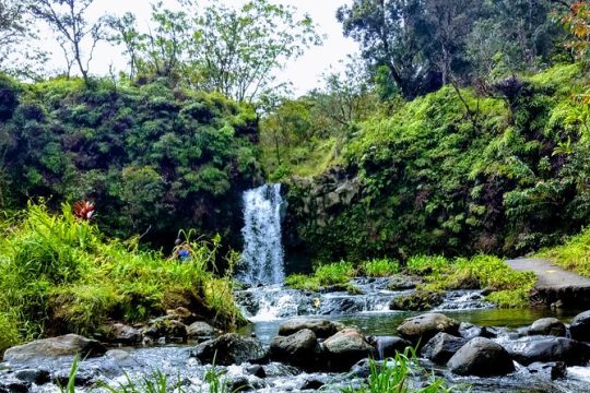 Guided "Halfway to Hana" Tour of Maui black Sand Beach,Waterfalls & Turtles!