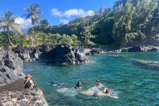 The Perfect Road to Hana Tour ~ Half Day (Small Group ~ 6 Max)