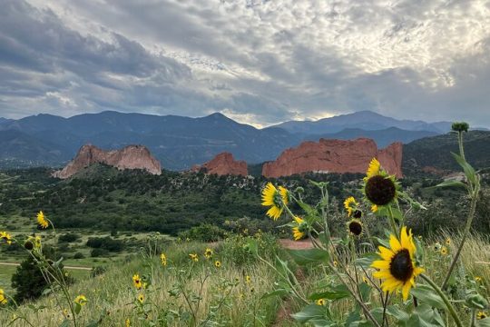 Sightseeing Jeep Tour in Garden of the Gods