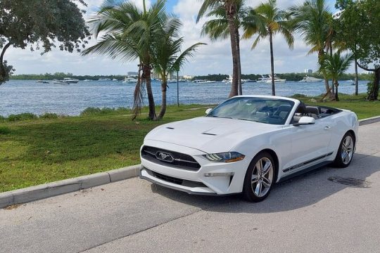 Half-Day Miami Tour by Convertible Mustang