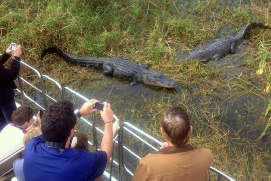 Orlando Florida Everglades Airboat Tour and Wild Florida Admission with Optional Lunch