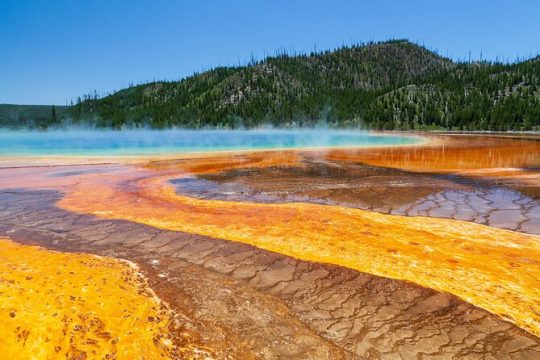Full Day Private Yellowstone National Park Tour from Big Sky