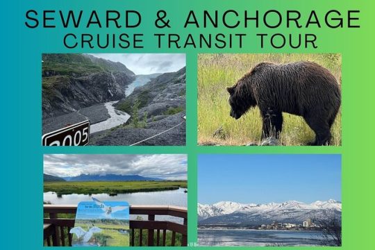 Full-Day Seward Cruise Transit Tour to Anchorage
