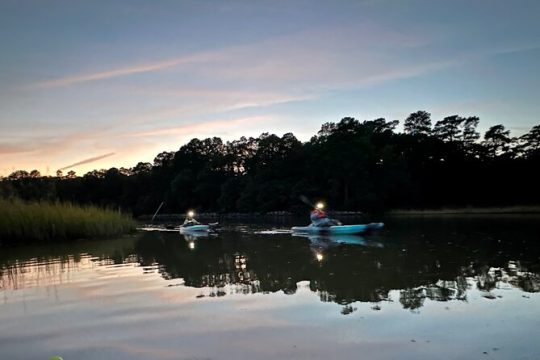Kayak tour of Jamestown Island (Small Group or Private)