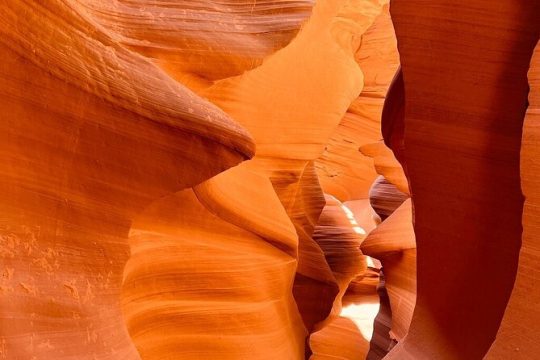 Lower Antelope Canyon LV and Yellowstone 6-day Tour|Los Angeles