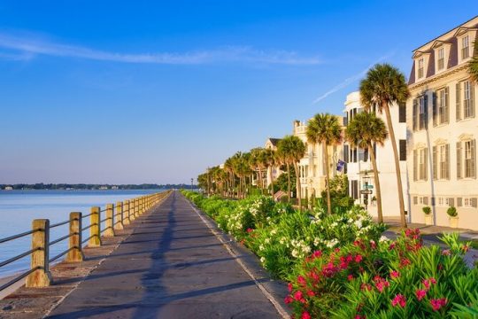 Discover Charleston! A walk of the top sights by licensed guide.
