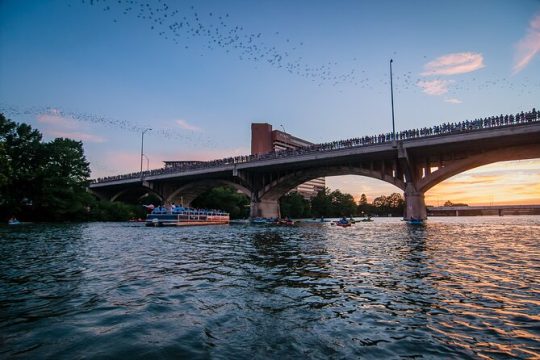 Sunset Guided Congress Avenue Bat Kayaking Tour in Austin
