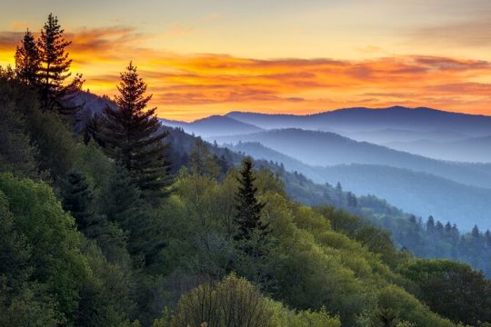 4-Day Tennessee Great Smoky Mountain Tour from New York