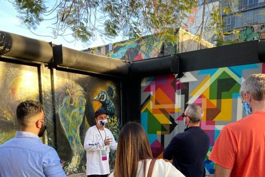 Wynwood Walls Official Tour
