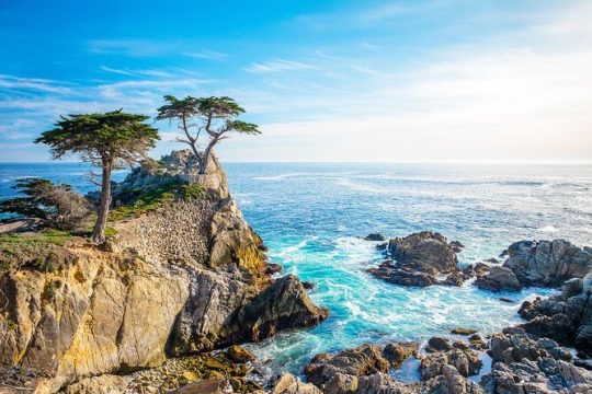 Monterey: Ocean Paradise, Trolley and Walking Tour