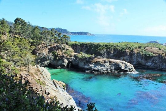 Point Lobos - A Private Charming Ocean Tour