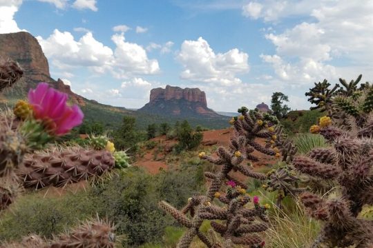 Private Sedona Day Trip from Phoenix or Scottsdale