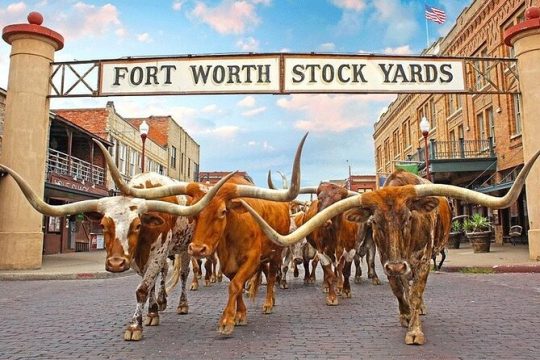 Fort Worth Highlights & Southfork Ranch Combo Tour