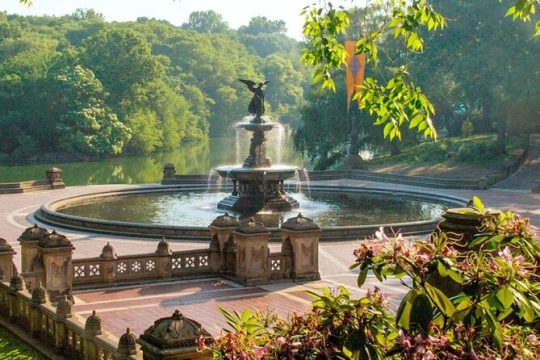 Central Park Wonders And Secrets Shared Walking Tour