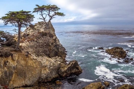 Monterey Big Sur Private 6 hour Tour from Monterey