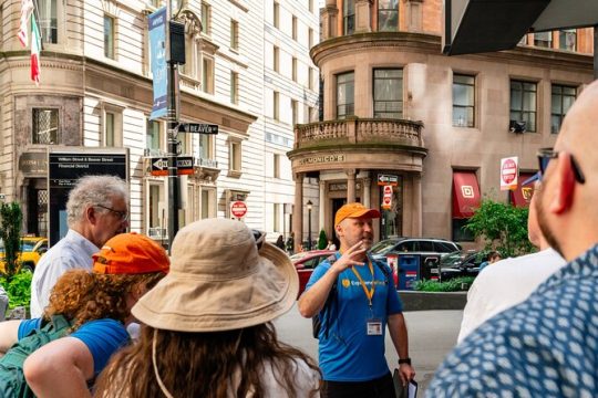2 Hours Unofficial Succession Walking Tour in New York