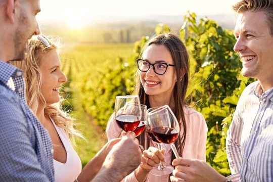 Napa and Sonoma Full-Day Wine Tour from San Francisco