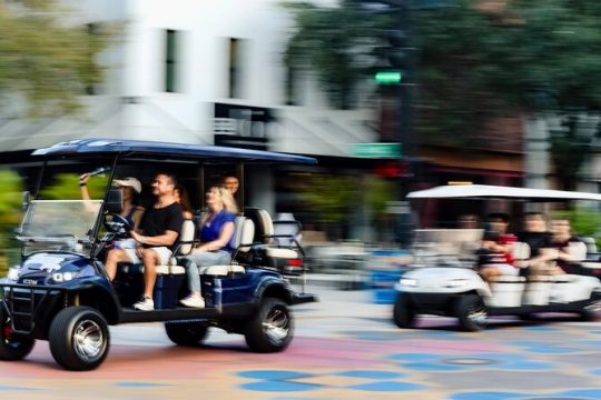 Guided St. Pete Sightseeing Tour in Deluxe Street Legal Golf Cart