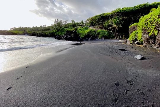 Shore excursions of Maui