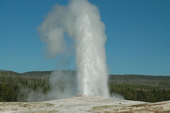 Yellowstone Lower (Southern) Loop Tour