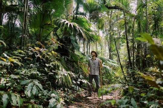 Cloud Forest Sanctuary Jungle Tour