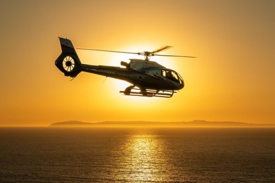 Coastal California Helicopter Tour from Long Beach